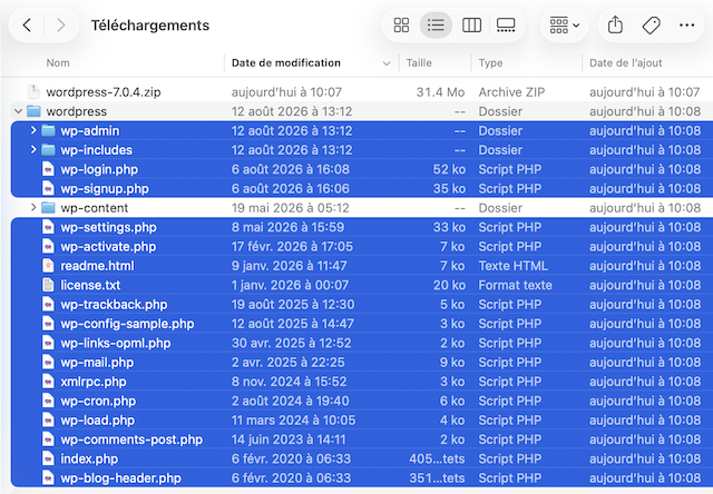 WordPress manuell updaten 03 fr