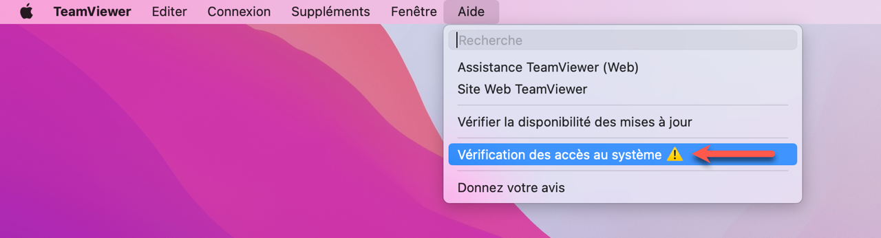 teamviewer fr1