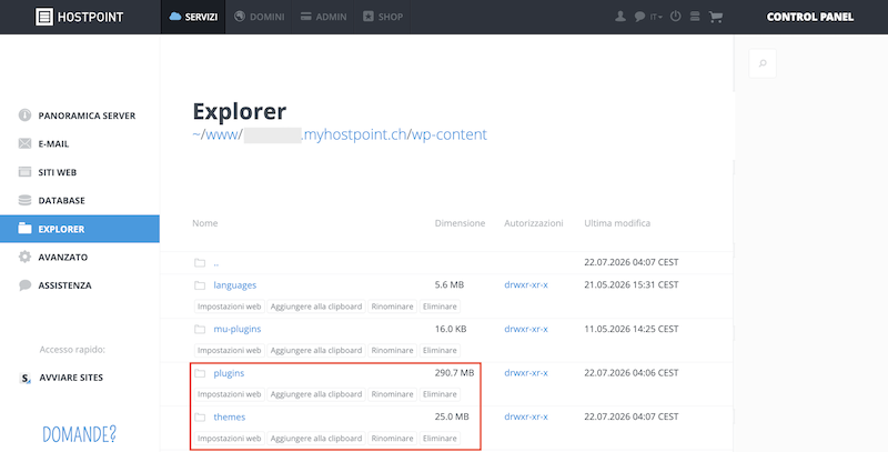 Explorer WP Plugin Theme it