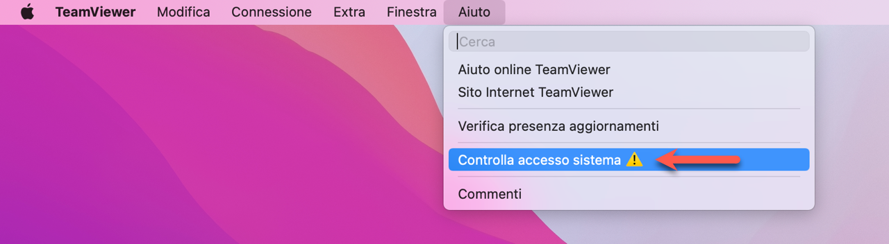 teamviewer it1